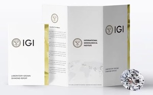 แหวนเพชรเมห์ราจูดิน เจมส์ รับรองโดย IGI น้ำหนัก 1 กะรัต สี E ความสะอาด VVS2 เพชรเพาะเลี้ยงในห้องปฏิบัติการ ทรงโอวัล ตัดเยี่ยม ประดับแบบหนามเตย สไตล์วินเทจ - Product Image 6