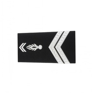 Fourreaux Rigides Homme et Femme <span class=keywords><strong>Gendarmerie</strong></span> Departementale - Carriere - Product Image 2