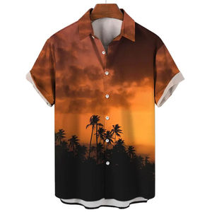 Chemise pour hommes t-shirts de plage décontracté respirant à manches courtes chemises boutonnées 3D imprimé vêtements pour hommes vacances d'été - Product Image 5
