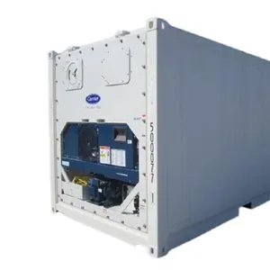出售优质标准冷藏冷水机和冷冻机20英尺海上冷藏集装箱