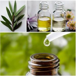 Aceite de melaleuco puro de fábrica, Akina - Product Image 6