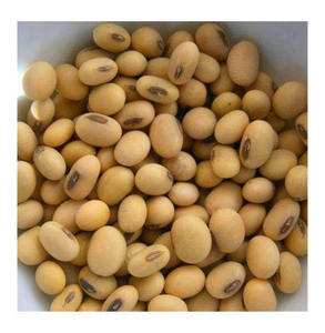 Graines de soja entières séchées AD de qualité supérieure, biologiques, jaune clair, non-OGM, qualité supérieure, emballage en vrac de 50 kg pour la vente en gros - Product Image 2