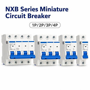 Disjoncteur miniature CHINT NXB-40 1P+N Courbe C D, protection contre les surcharges et les courts-circuits pour tableau de distribution domestique - Product Image 4