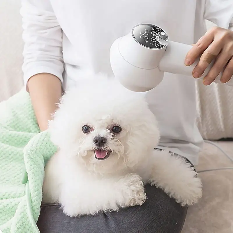 pet supplies 2024 pet products dog grooming pet hair dryer for small animals blow dryer small cat dog hair dryer