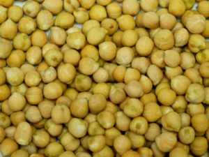 Garbanzos Kabuli Orgánicos Secos en Paquete a Granel con 24 Meses de Vida Útil en Venta - Product Image 4