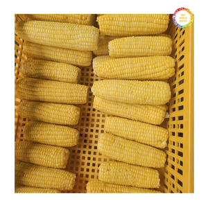 Maíz Dulce Congelado en Mazorca Entera de 12 cm y Cortado por la Mitad de 5 cm, Maíz Dulce Congelado Envasado al Vacío, Maíz Amarillo Súper Dulce - Product Image 6