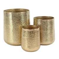 Jardinière en métal fini martelé doré avec support Jardinière en métal pour balcon intérieur et extérieur pour décoration de jardin