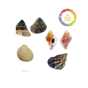 Collection de coquillages avec le prix concurrentiel de qualité fine pour la décoration à partir de 99 données d'or - Product Image 4