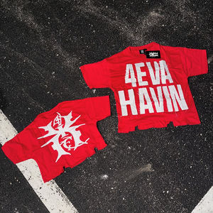 Personnalisé 2025 Streetwear T-Shirt en détresse broderie Applique Patch soleil délavé Vintage acide Boxy recadrée T-shirt pour hommes - Product Image 4