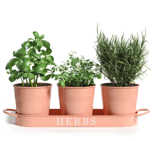 <b>Small</b> Rustic Decorative Classic Planter Set Garden Supplies Enamel <b>Pots</b> with Tray Plants Cups for Outdoor Flower <b>Pot</b> - Product Image 1