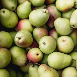 Pêres de conférence de qualité supérieure, de qualité d'exportation de classe I, sucrées, juteuses, riches en fibres, fraîches, vente en gros avec chaîne du froid mondiale - Product Image 2