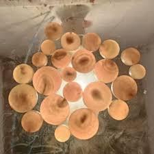 ปุ่มฮอร์นสีเปล่า - Product Image 3