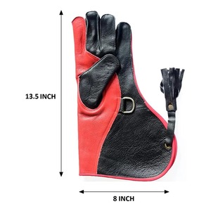 Guantes de cetrería de cuero transpirable 2025 para caza de águila con halcón, pájaro, halcón, trampa para animales, equipo de halcón, accesorios, herramientas - Product Image 6