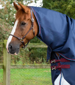 Ventes en gros de couvertures pour chevaux équestres, directement de l'usine, imperméables, respirantes, OEM, confortables, personnalisées - Product Image 5