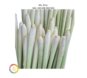 Hierba de limón natural congelada IQF Hierba de limón congelada de alta calidad a precio barato de fábrica de Vietnam por la marca 99GD - Product Image 1