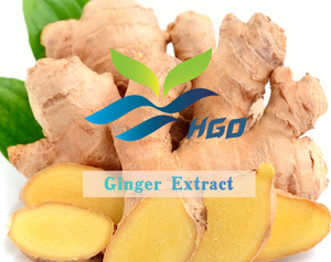 Suministro directo de fábrica HGO de extracto de jengibre natural puro (grado alimenticio) Especificación Gingerol 1% - 20% (extracto estandarizado) - Product Image 2