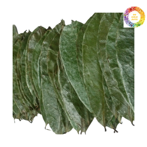 Feuilles de Corossol de qualité exportée-Feuilles de Graviola séchées du Vietnam idéales pour la tisane et l'utilisation de suppléments - Product Image 6