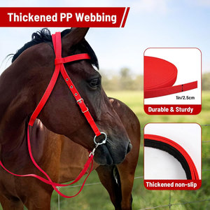 Juego de Riendas de brida de caballo ajustable, arnés de cabeza ecuestre Premium con ajuste cómodo y riendas fuertes - Product Image 5