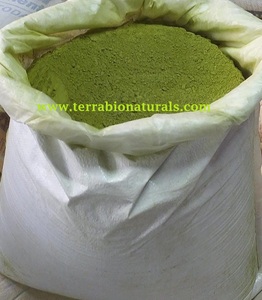 Polvo de Hoja de Moringa 100% Puro y Natural, Orgánico, Calidad Premium para Exportación, Proveedor a Granel de la India - Product Image 3