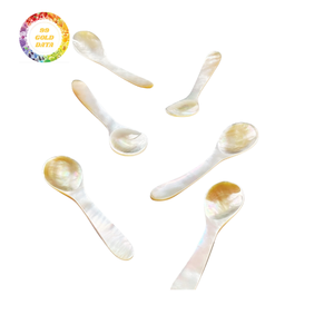 Cuchara de concha de perla hecha a mano sostenible de Vietnam Ideal para presentación de caviar, sal y comida de lujo - Product Image 1