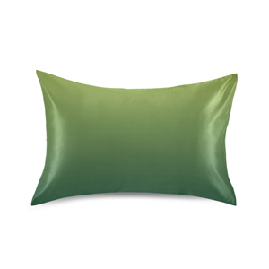 Funda de almohada de seda de morera Natural 100% con infusión de iones plateados con soporte de cremallera Añadir logotipo Funda de almohada para dormir - Product Image 1