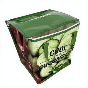 Non-Woven Insulated Cooler Bag with Zipper Closure - Product Image 2