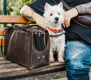 Dresspet Famous Brand Sac à dos de randonnée en cuir pour chien Accessoires de voyage pour transporter les animaux domestiques confortablement en déplacement - Product Image 6