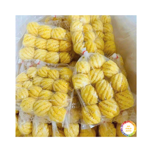 มะม่วงแช่แข็งสับปะรดแช่แข็งหั่นสี่เหลี่ยมลูกเต๋ากับ iqf น้ำซุปข้นจาก99ทองข้อมูลเวียดนาม - Product Image 5