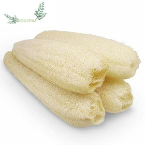Eco Friendly Loofah <b>Sponge</b>/ Natural Loofah Exfoliating <b>Sponge</b>/ Shower Loofah Made in Vietnam by Eco2go Vietnam - Product Image 1