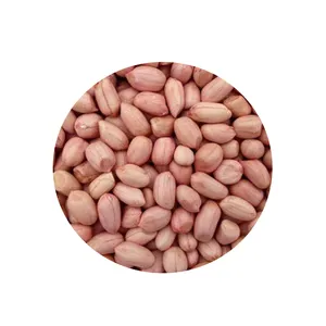 Premium Grade Raw Peanut / Raw Groundnuts / Raw Peanut In Shell For Sale High Quality Raw Peanuts Kernel And Raw Peanut