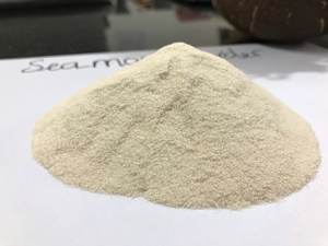 Bulk Export High Quality Irish <b>Moss</b> Powder 100% Natural with Competitive Price - Product Image 5