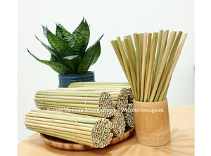 Las pajitas de hierba desechables, biodegradables y ecológicas/se utilizan para agua potable, jugos y otras bebidas no alcohólicas. - Product Image 3