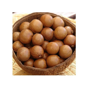 Noix de Macadamia de Haute Qualité Nouvelle Récolte Grande Taille Vente en Gros Usine Usage Alimentaire Séché Brut Afrique du Sud 25kg/sacs Haut de Gamme - Product Image 2