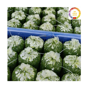 ใบมันสำปะหลังสับแช่แข็งจำนวนมาก ผู้จัดจำหน่ายจากเวียดนาม ราคาแข่งขันสำหรับตลาดส่งออก - Product Image 5