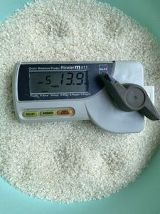 Japonica Sushi Corto Redondo Calrose Japonés Arroz Blanco Secado Textura Suave Premium Vietnam Fabricante WA + 84-915355383 - Product Image 2