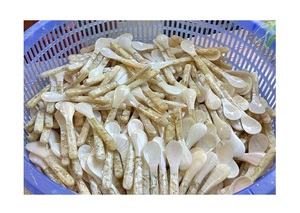 Cuillère en nacre fabriquée à la main parfaite pour les expériences culinaires élégantes et les cadeaux de 99GD au Vietnam - Product Image 3