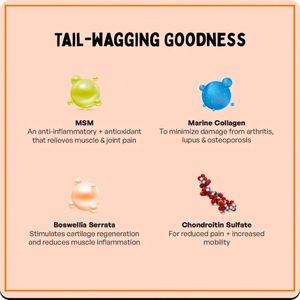 Tiras Orales para Mascotas Activas o Mayores, Suplementos Nutricionales con Ingredientes Calmantes para Articulaciones Doloridas y Apoyo a la Movilidad - Product Image 3