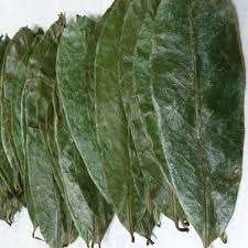 FEUILLES DE GRAVIOLA DU VIETNAM/FEUILLES DE SOURSOP SÉCHÉES DE HAUTE QUALITÉ POUR THÉ AUX HERBES À PRIX ABORDABLE - Product Image 3