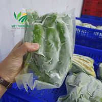 Vietnam IQF Diepvriesavocado 100% natuurlijk, waterconserveerd, VTP merk, beste prijs voor export naar Nederland