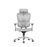 Chaise de bureau en maille ergonomique Chaise élévatrice confortable avec design contemporain pour l'environnement de travail Chaise d'ordinateur