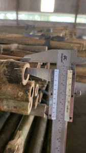 Cannes de bambou naturelles | Traitement sur mesure | Pour vignoble et jardin | Achat en vrac - Product Image 4