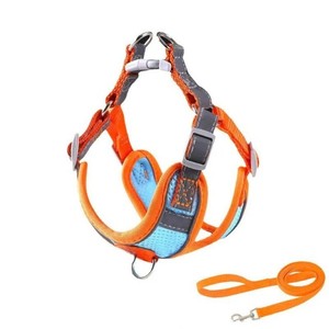 Ensemble de colliers pour chiens de petite taille, en nylon et polyester, imprimé, style classique moderne simple, doux et confortable, nœud papillon, toutes saisons - Product Image 3