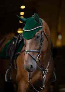 Protector de Orejas para Caballo de Alta Gama, Diseño Ligero, Transpirable y Suave, para Entrenamiento y Exhibiciones, Velo de Ganchillo para Caballo - Product Image 3