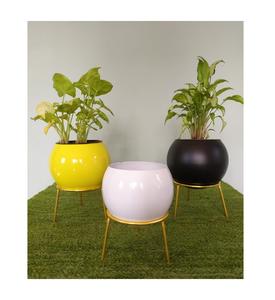 Elegante maceta de metal con soporte Elegante exhibición de plantas de interior para decoración del hogar Uso en interiores y jardines Acabado con recubrimiento en polvo - Product Image 3