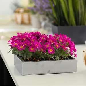 CBR1273SV - Rectángulo Largo Plateado - 12x7x3 - Product Image 5