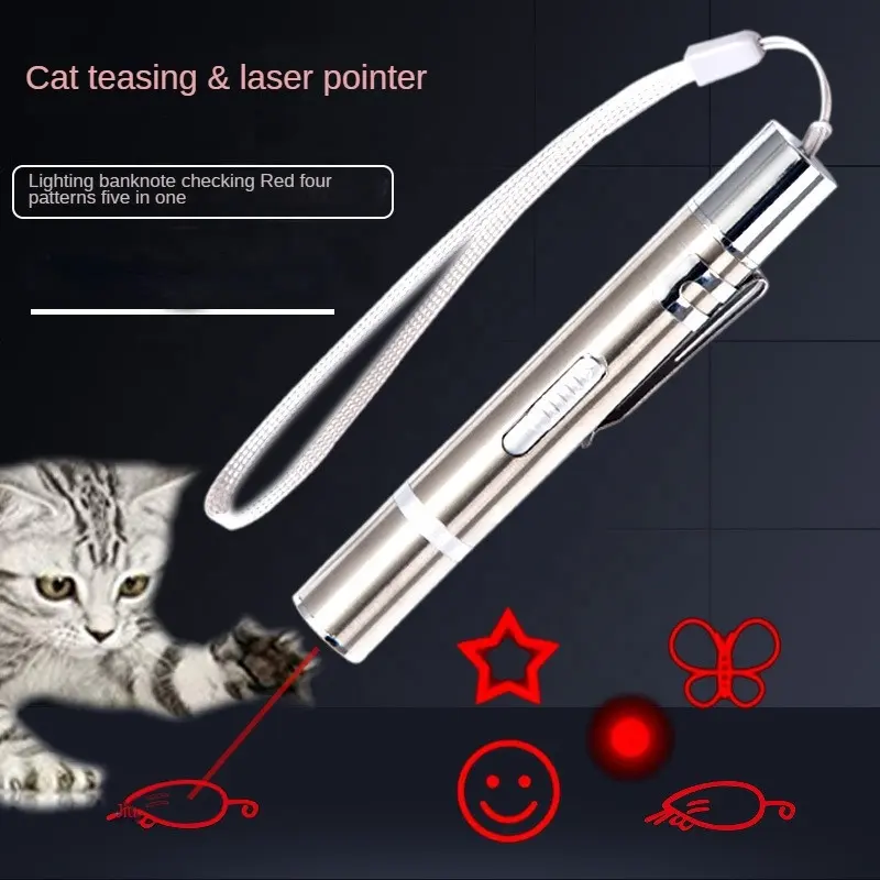 Lampe de poche LED à chargement USB Lampe UV pour animaux de compagnie Pointeur laser interactif Stylo laser pour chat