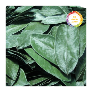 Daun Soursop kering dalam karton atau tas PE-tersedia dalam jumlah besar untuk distributor dan pembeli bahan