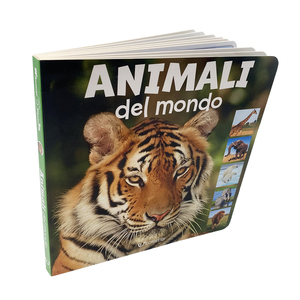 Livre cartonné photographique style Edicart, apprentissage coloré pour enfants, 2 articles, 16 pages - Product Image 1