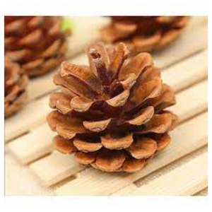 กรวยสนธรรมชาติสำหรับตกแต่งคริสต์มาส - Product Image 1