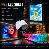 Feuille lumineuse LED RGB sur mesure RAYMATES UL ETL, DC24V, 300 LED, haute luminosité, pour panneaux LED muraux en onyx et quartz